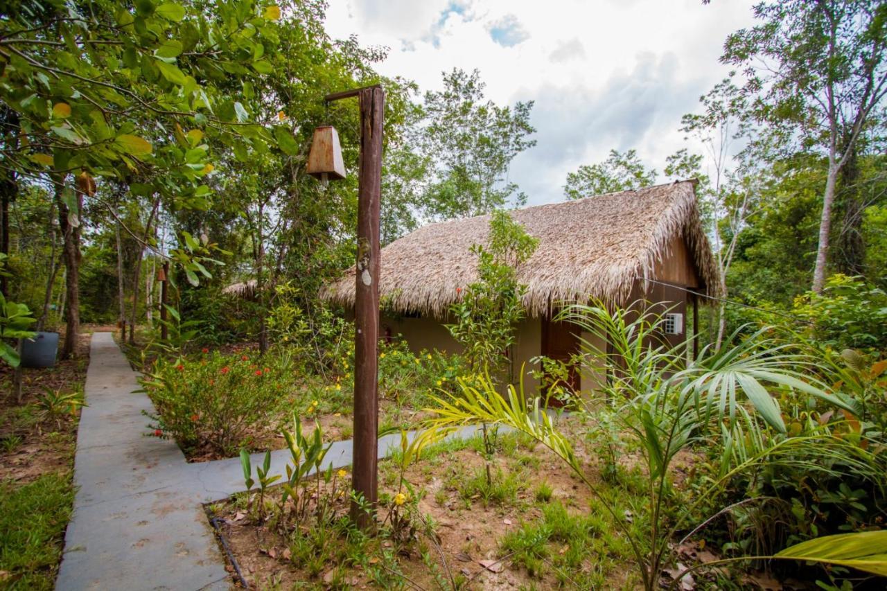 Amazon Turtle Lodge Careiro Exteriér fotografie
